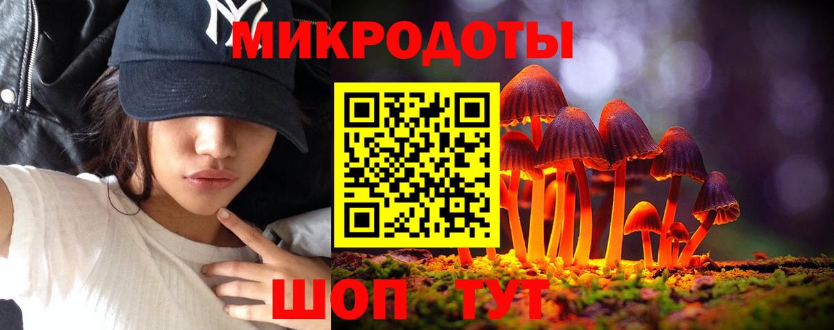 Галлюциногенные грибы прущие грибы  Вход с VPN  Псилоцибиновые грибы мицелий  Тихорецк 